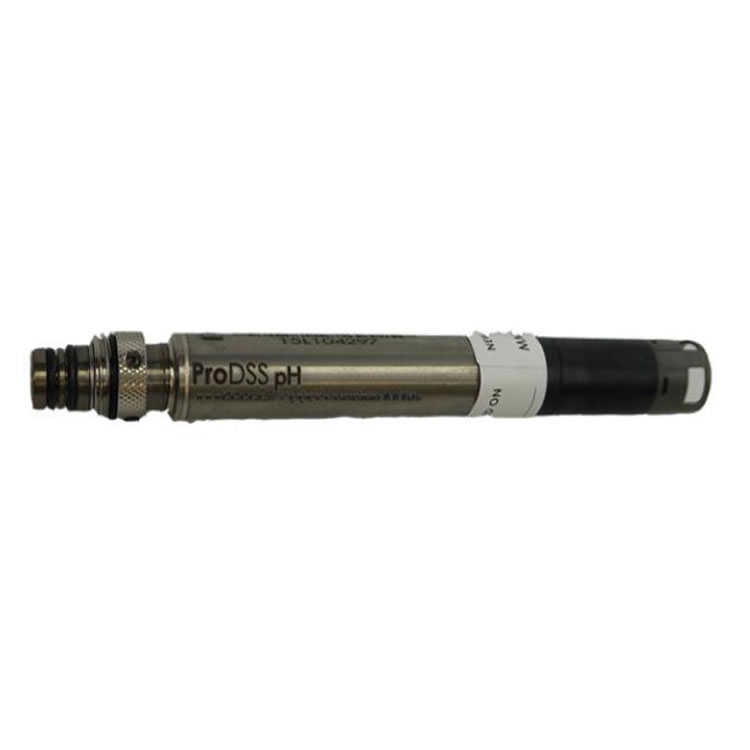 美國YSI帶模塊的pH傳感器ProDSS